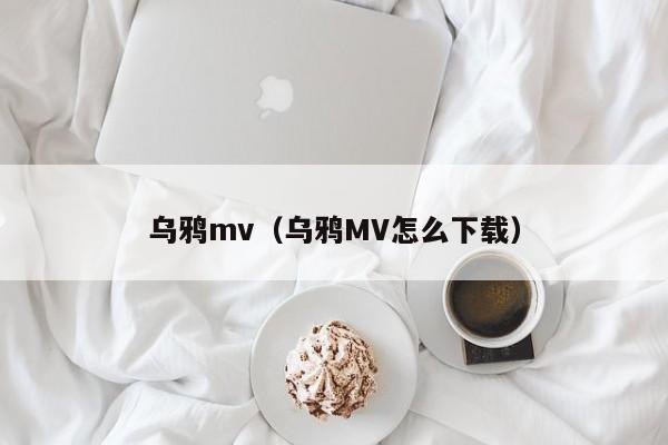 乌鸦mv(乌鸦MV怎么下载)