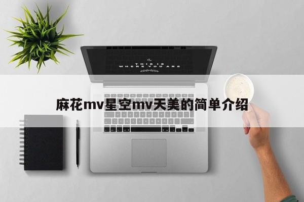 麻花mv星空mv天美的简单介绍